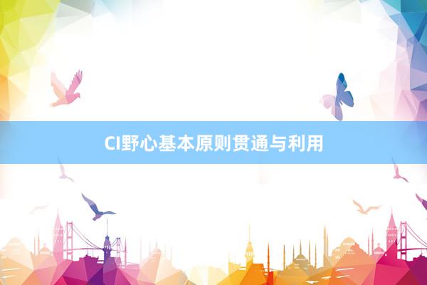 CI野心基本原则贯通与利用