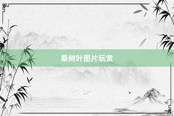 桑树叶图片玩赏